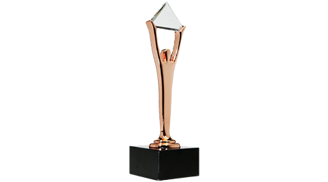 Bronzie Stevie Award