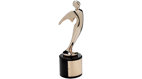 Telly Bronze Award