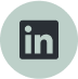 LinkedIn - Icon